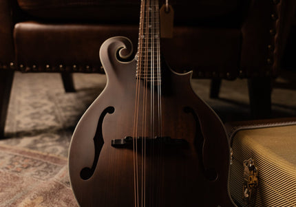 Collection image for: Mandolins