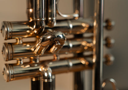 Collection image for: Brass Instruments