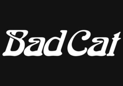Collection image for: Bad Cat