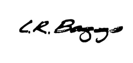 Collection image for: LR Baggs