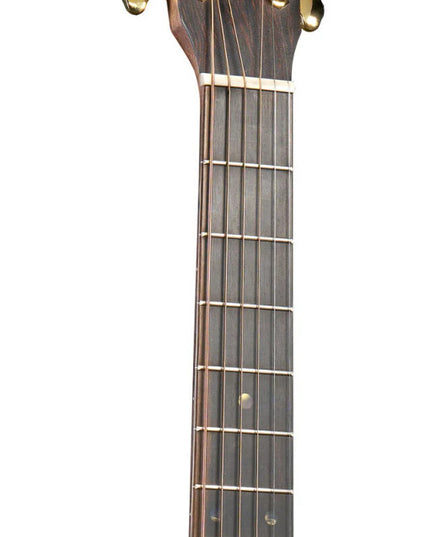 Martin Dread Jr E Walnut Limited