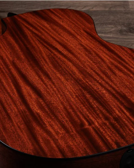 Taylor 324ce LTD Baritone 8-String Acoustic-Electric Guitar