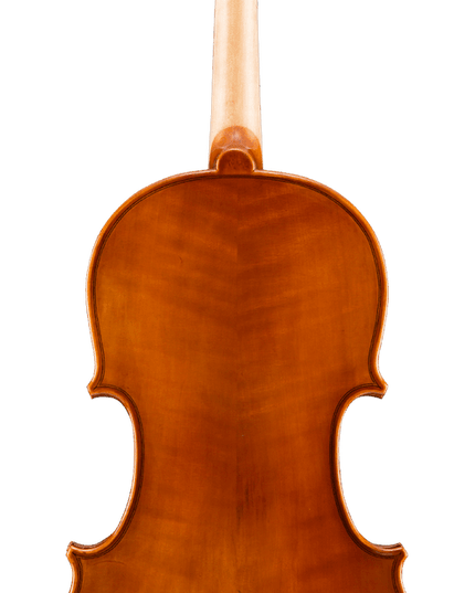 Eastman VA10013 13" Student Viola
