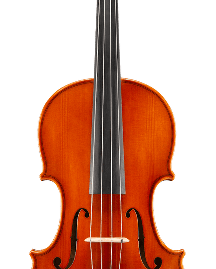 Eastman VA10013 13" Student Viola