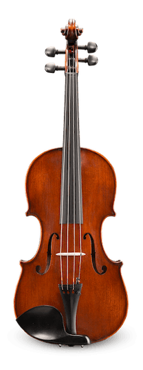 Eastman VA30515SBC 15" Andreas Eastman Viola Outfit