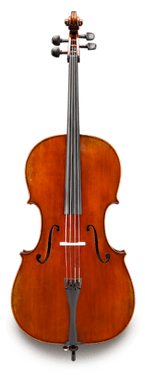 Eastman VC601ST Albert Nebel Cello Outfit