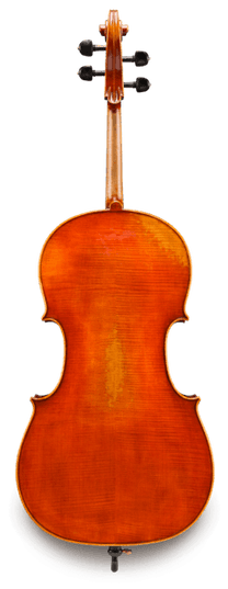 Eastman VC703 4/4 Frederich Wyss Professional Cello Outfit