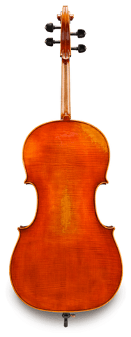 Eastman VC703 4/4 Frederich Wyss Professional Cello Outfit