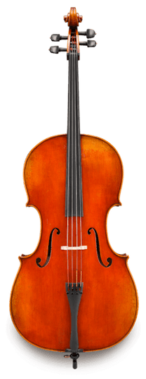 Eastman VC703 4/4 Frederich Wyss Professional Cello Outfit