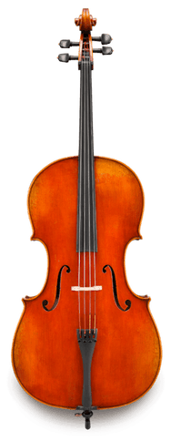 Eastman VC703 4/4 Frederich Wyss Professional Cello Outfit