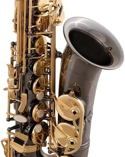 Selmer Intermediate Alto Sax Black Nickel