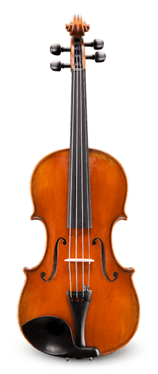 Eastman VL60144SBC 4/4 Albert Nebel Violin