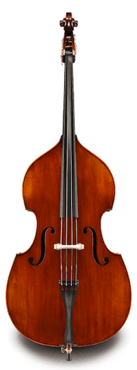 Eastman VB305GR34SBC 3/4 Andreas Bass Outfit