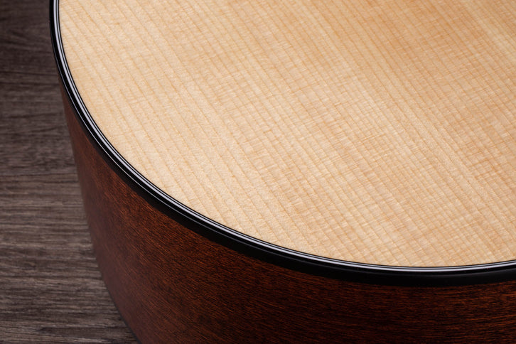 Taylor 314ce Grand Auditorium V-Class Acoustic-Electric Guitar