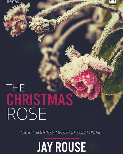 The Christmas Rose