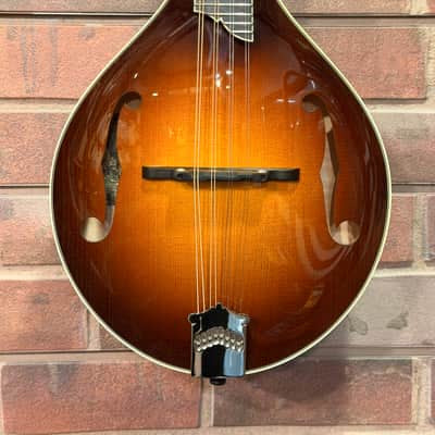 Collings MT2MANDO A-Style MT2 Mandolin w/Case