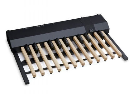 Collection image for: Hammond