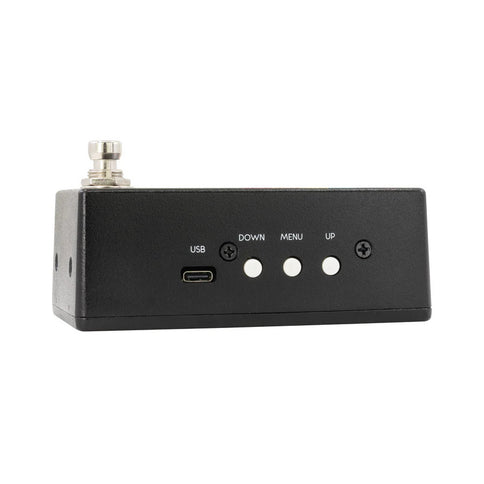 Walrus Audio Canvas Guitar & Bass Tuner Pedal