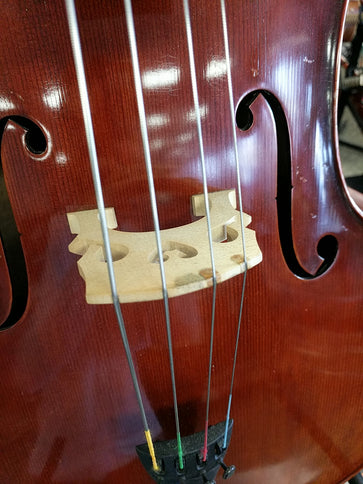 Eastman VC605STUSD Used Hand-Carved 4/4 Cello