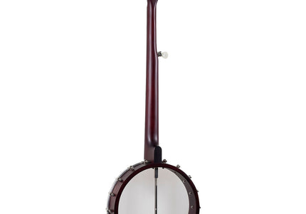 Collection image for: Banjos (Guitars)