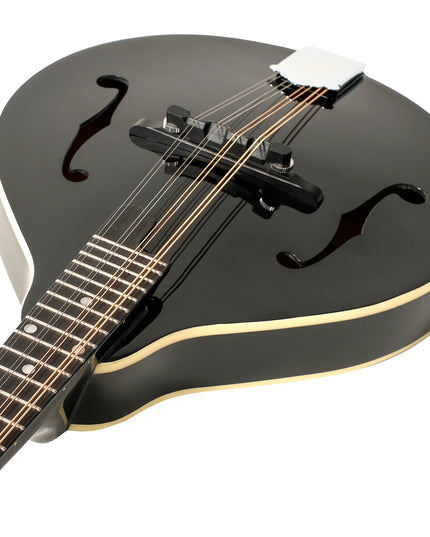 Recording King Dirty 30s A Mandolin Gloss Black