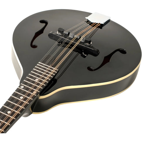 Recording King Dirty 30s A Mandolin Gloss Black