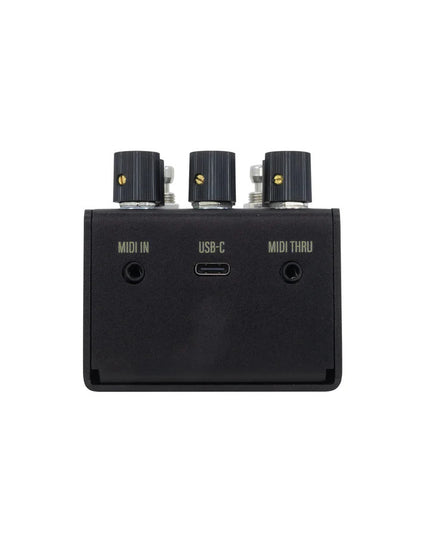 Walrus Audio Mako Series MKII: R1 High-Fidelity Reverb