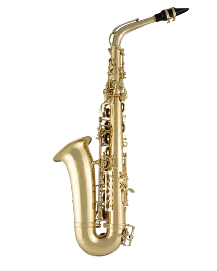 Selmer SAS711 Professional Alto Sax