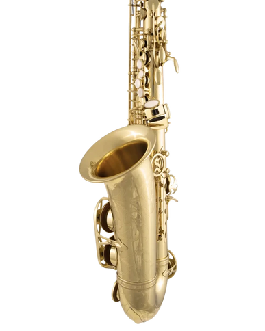 Selmer SAS711 Professional Alto Sax