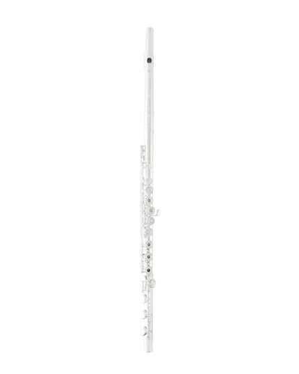 Selmer Intermediate Flute Outfit