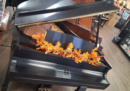 Collection image for: Used Instruments