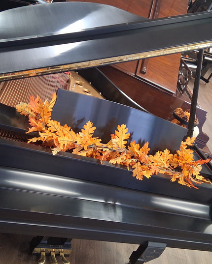 Steinway MEUSD Used 5'7" Grand Ebonized