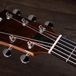 Taylor 14ce,Sapele/Spruce(Torr), Fishman