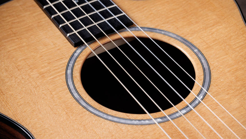 Taylor 212ce-N Plus Acoustic-Electric Guitar