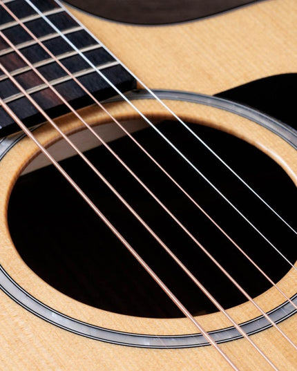 Taylor 212ce Plus Acoustic-Electric Guitar