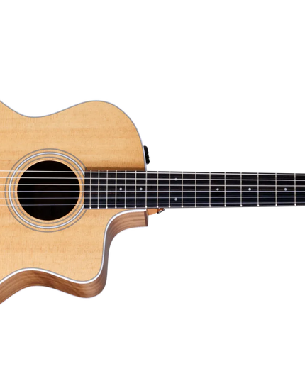 Taylor 214CEN Nylon-String Walnut B/S A/E w/Bag