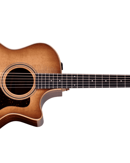 Taylor 314ce Studio Acoustic-Electric Guitar Shaded Edge burst
