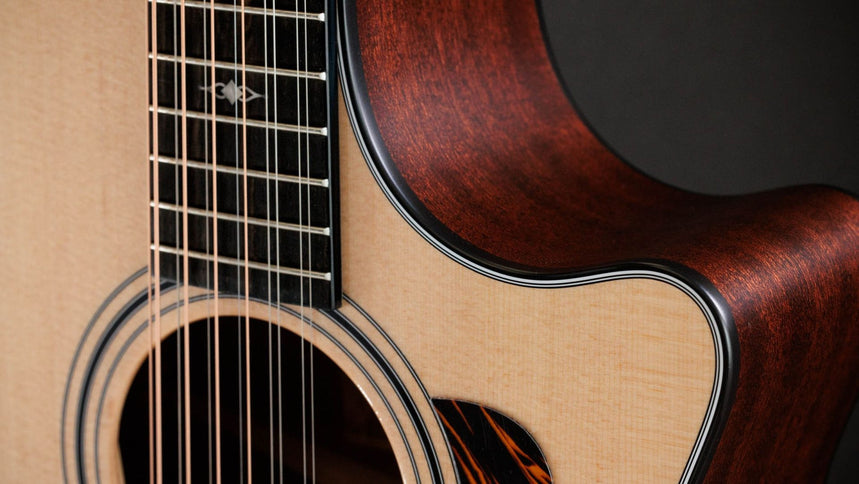 Taylor 354ce 12-String Acoustic-Electric Guitar