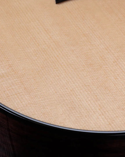 Taylor 454ce, Next Generation, 12-String