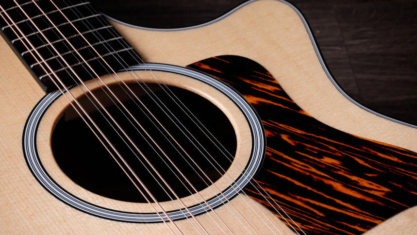 Taylor 454ce, Next Generation, 12-String