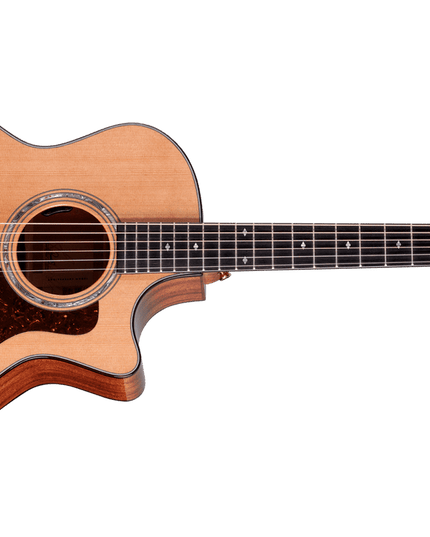 Taylor Legacy 514ce Acoustic-Electric Guitar