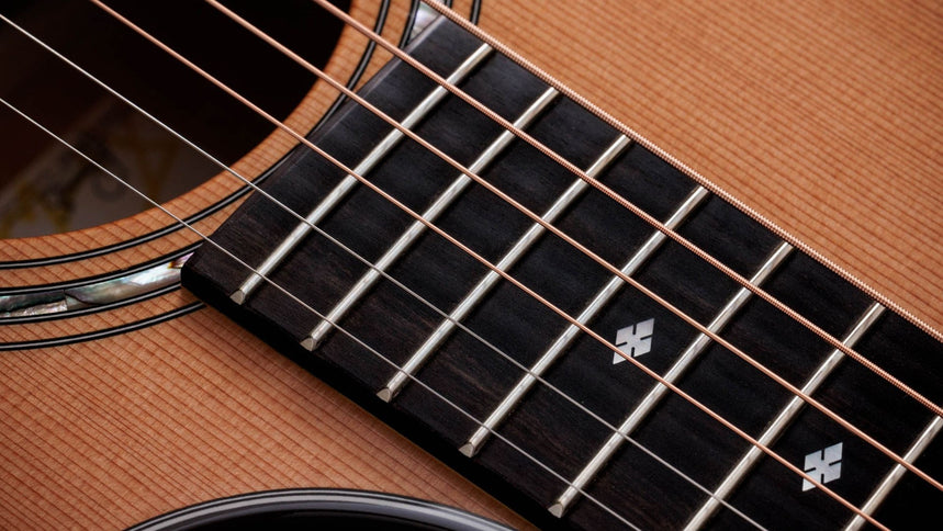 Taylor Legacy 514ce Acoustic-Electric Guitar