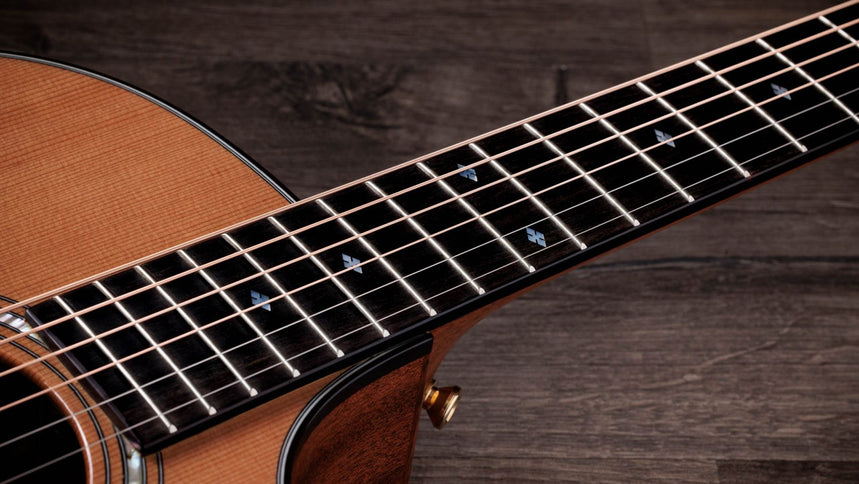 Taylor Legacy 514ce Acoustic-Electric Guitar