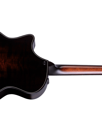 Taylor 50th Anniversary 314ce LTD Builders Edition Natural