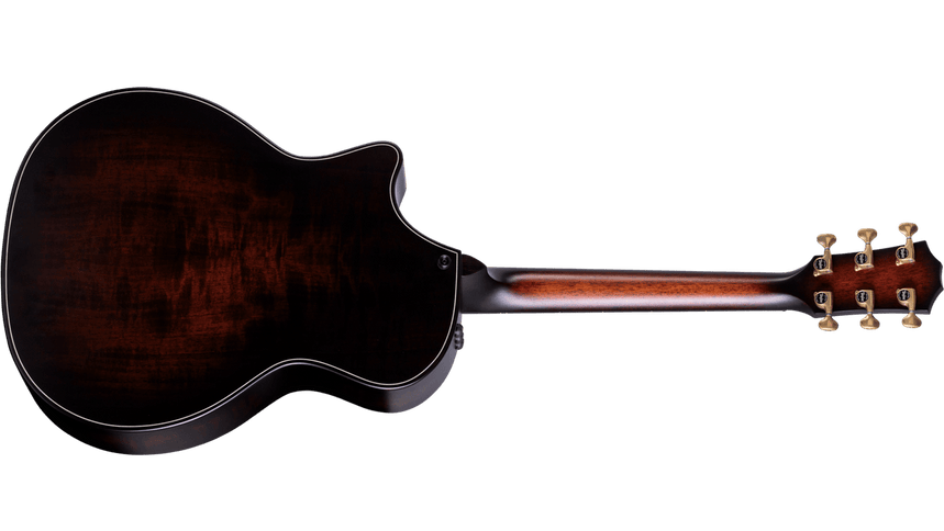 Taylor 50th Anniversary 314ce LTD Builders Edition Natural