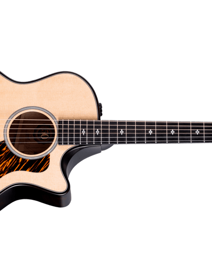 Taylor 50th Anniversary 314ce LTD Builders Edition Natural