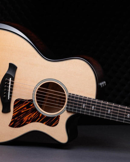 Taylor 50th Anniversary 314ce LTD Builders Edition Natural