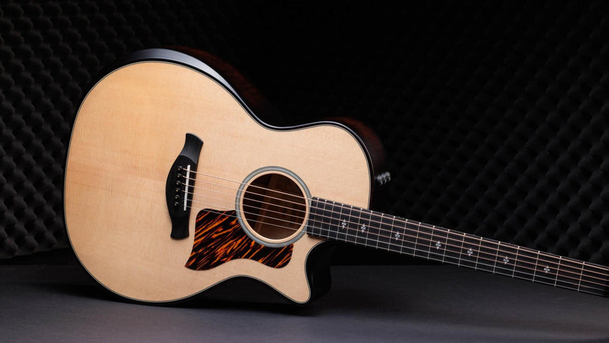 Taylor 50th Anniversary 314ce LTD Builders Edition Natural