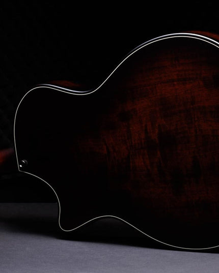 Taylor 50th Anniversary 314ce LTD Builders Edition Natural