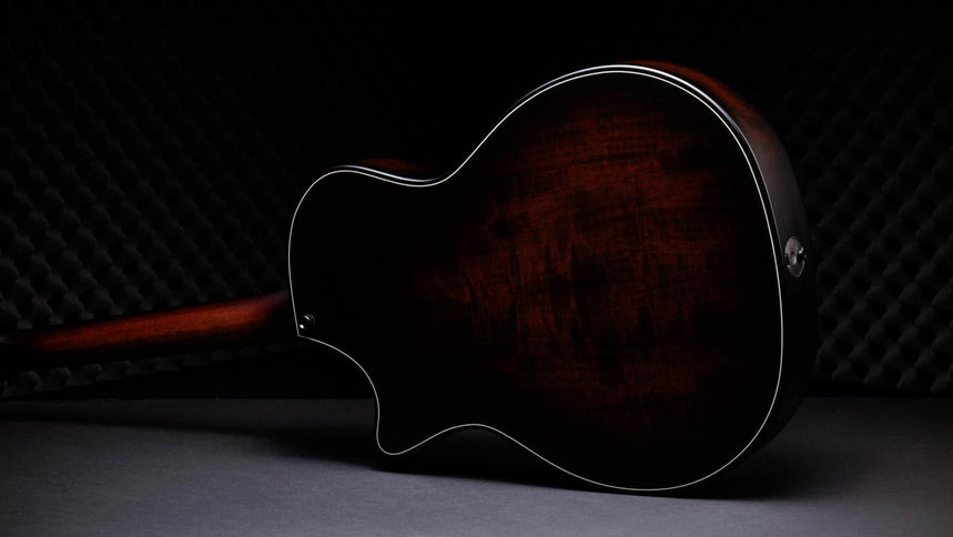 Taylor 50th Anniversary 314ce LTD Builders Edition Natural